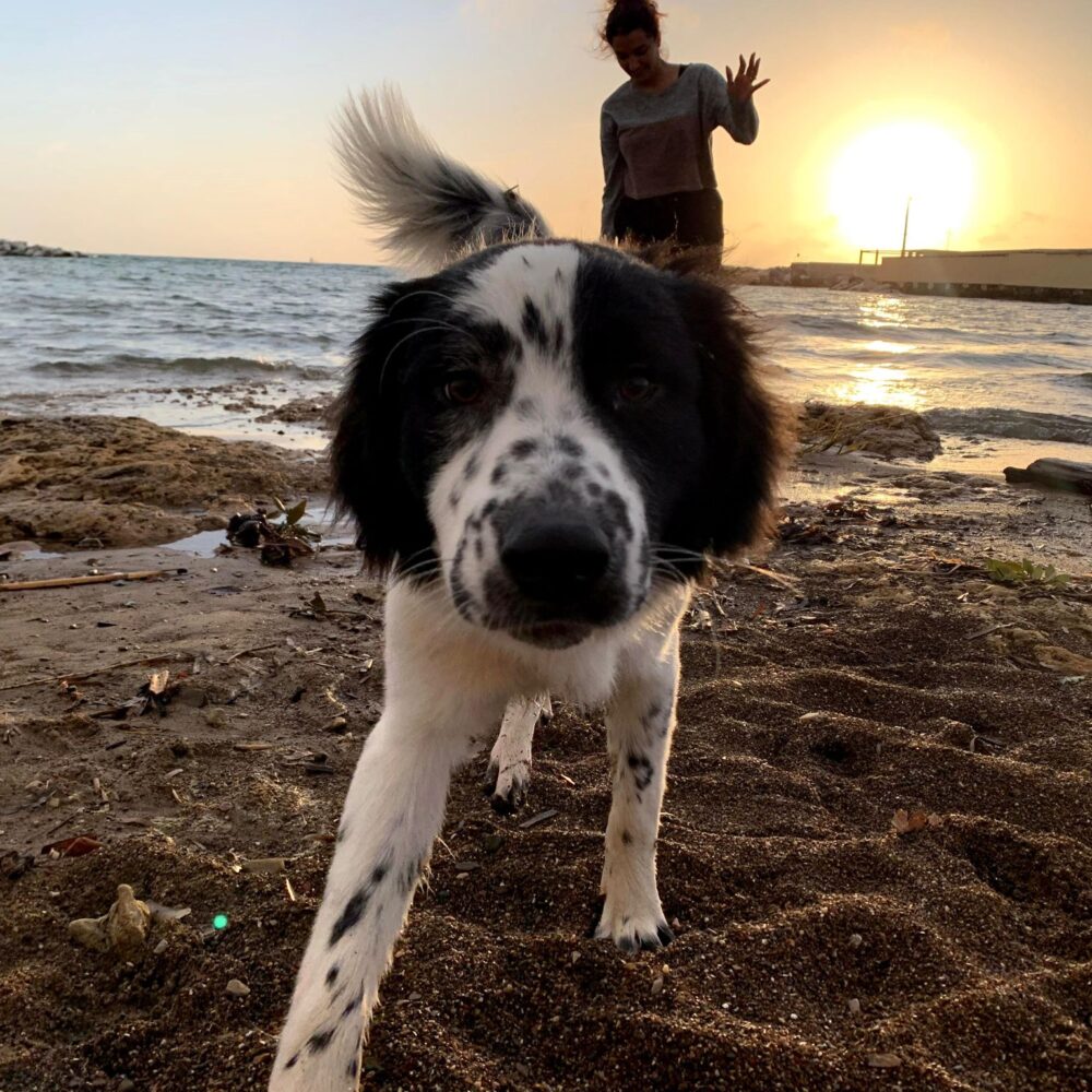 Balu