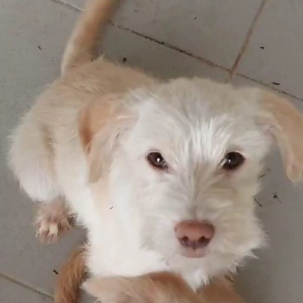 Kiki