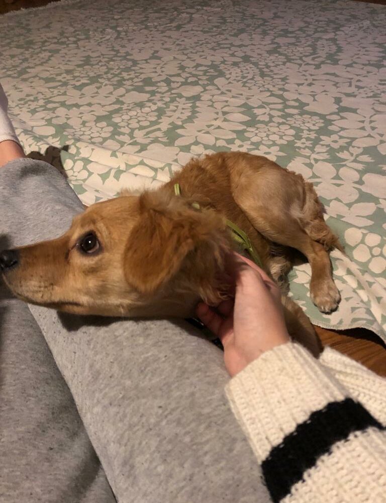 Ted