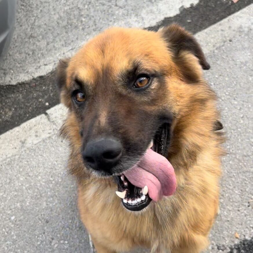 Axel