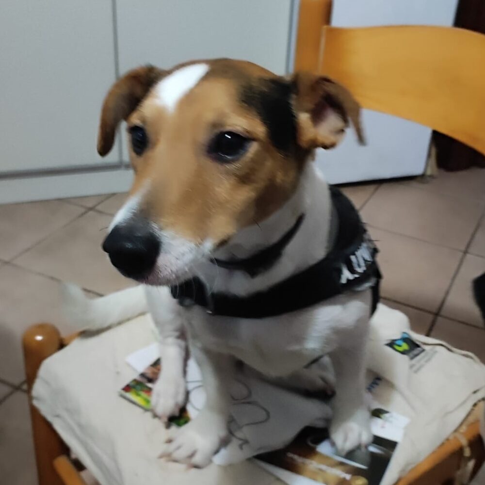 Ettore