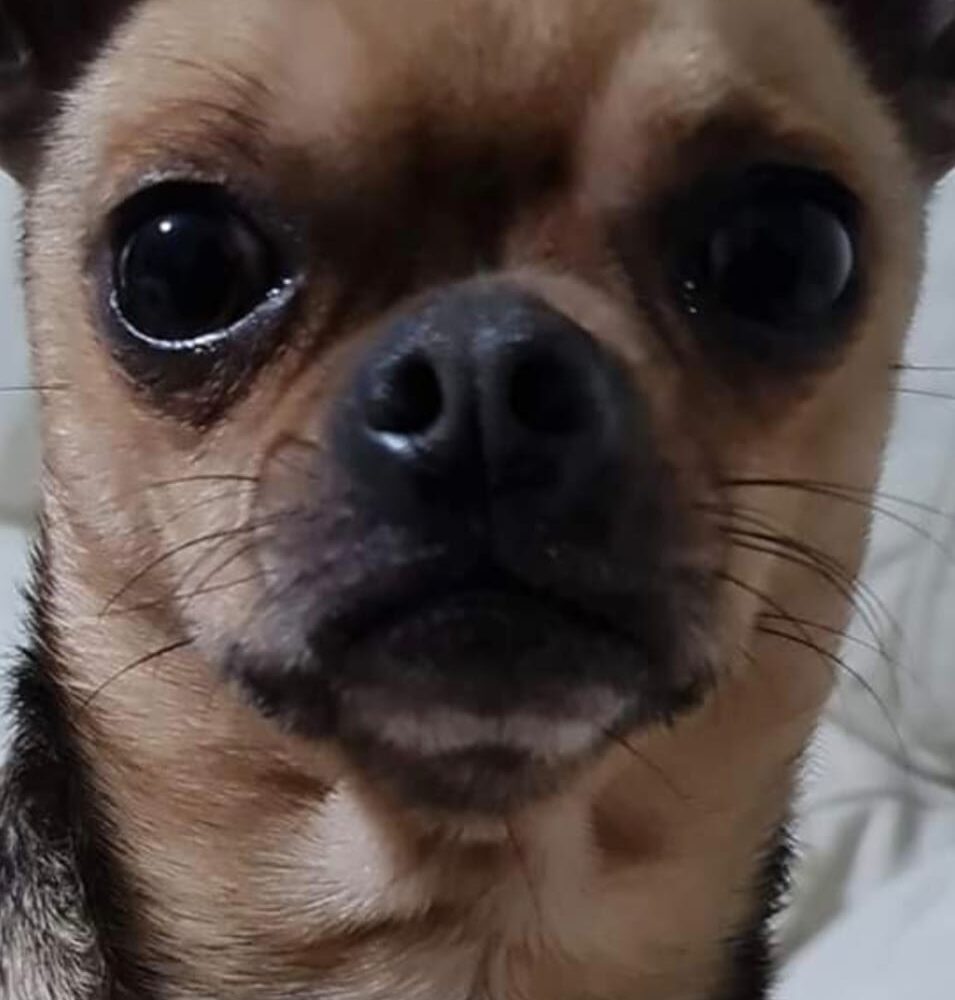 Jerry