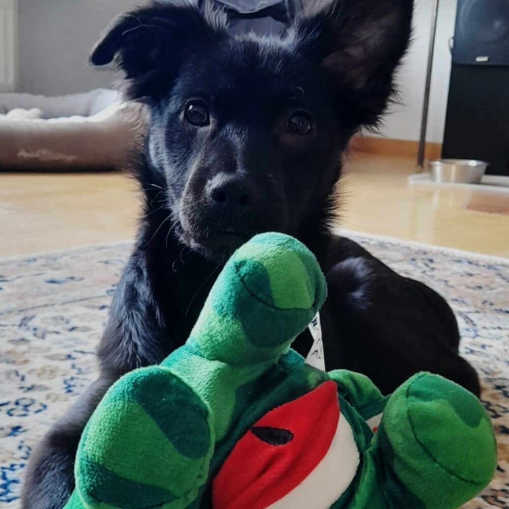 Tyson