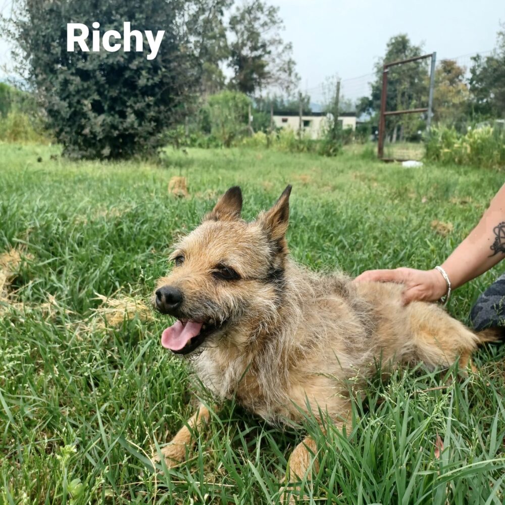 Ricky