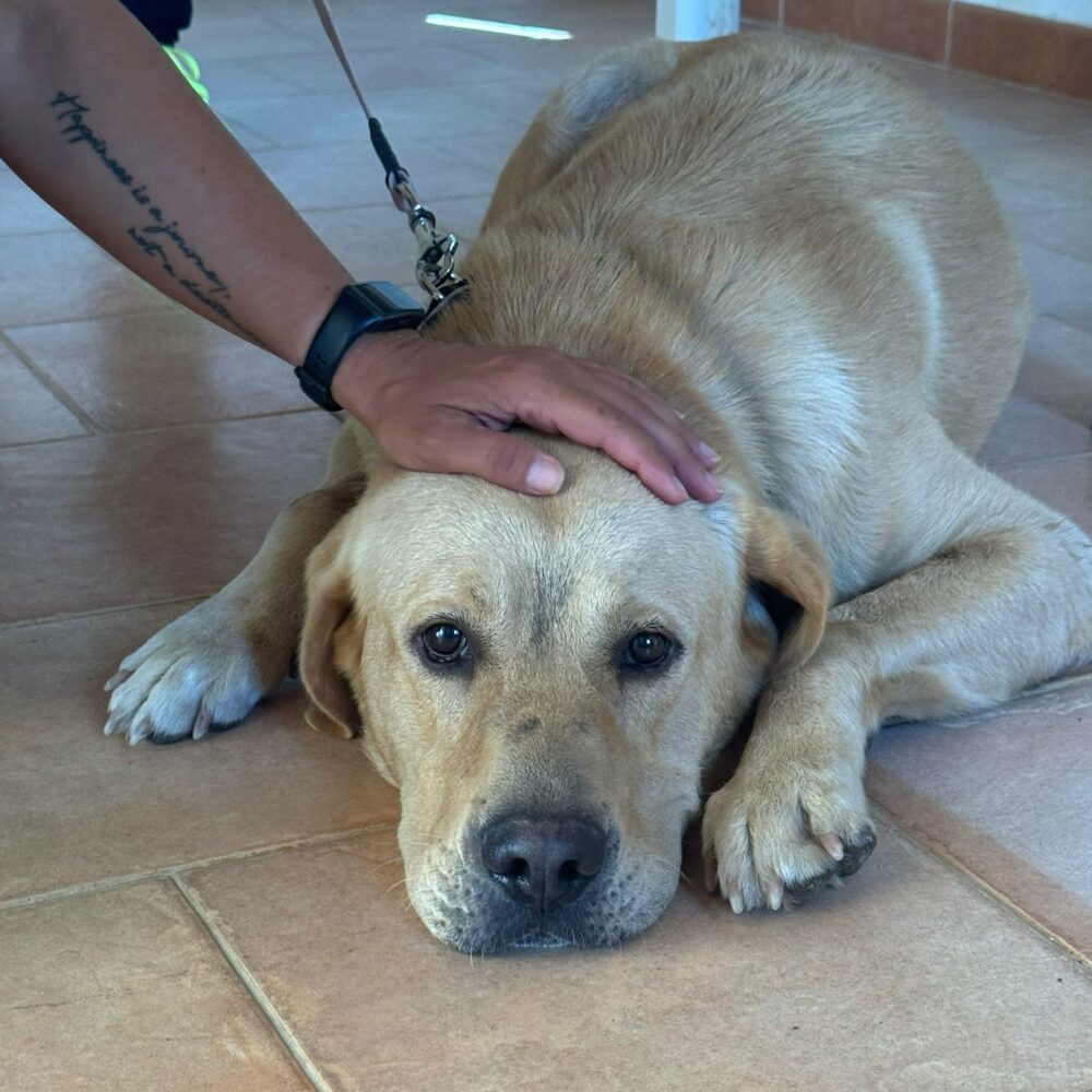 Cirilo