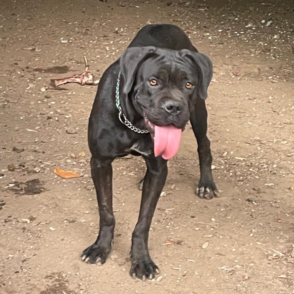 Luna