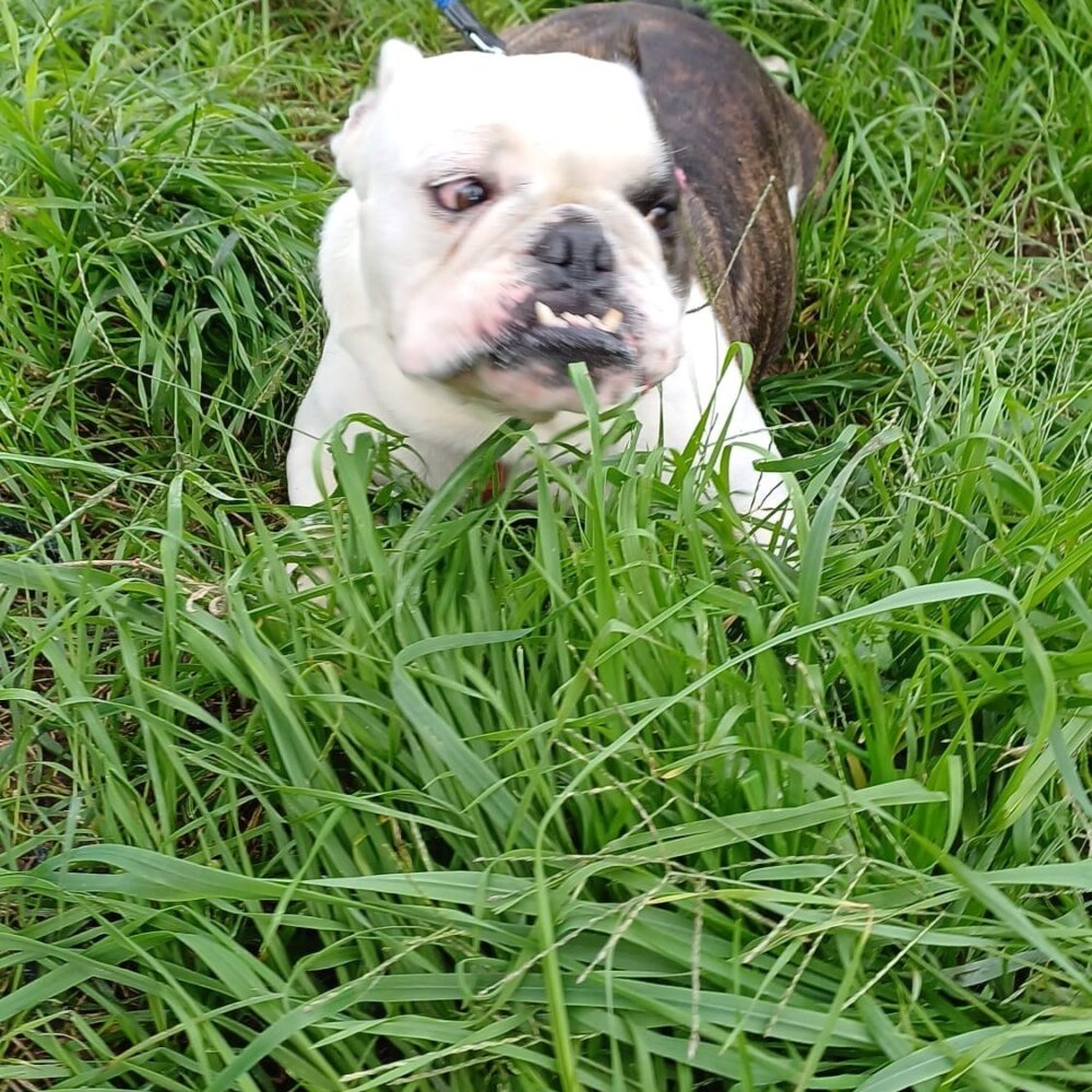 Eduardo