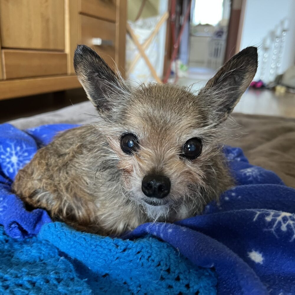 Luzie