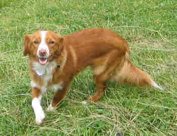 Max