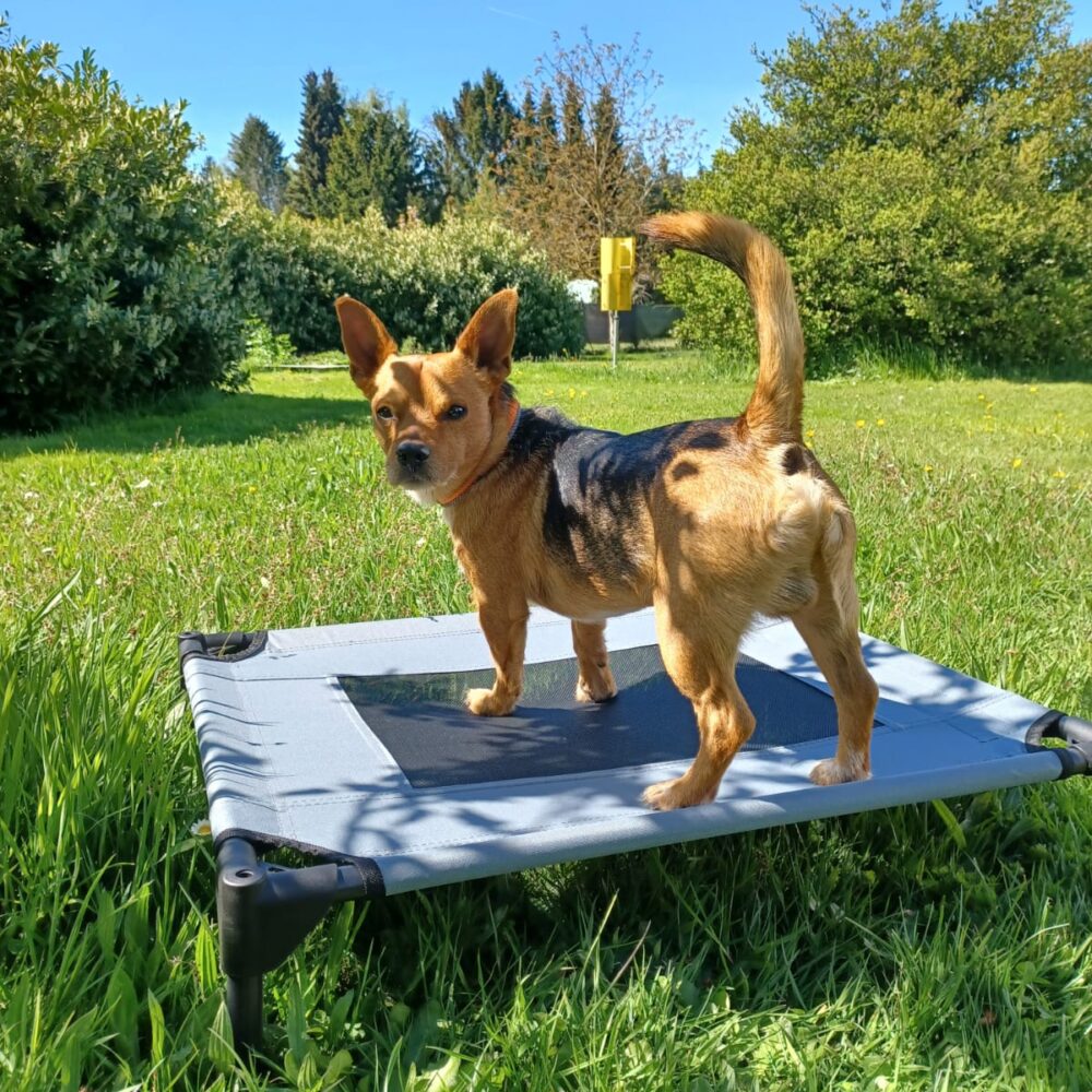 Tyson