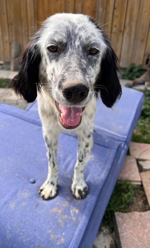 Luna