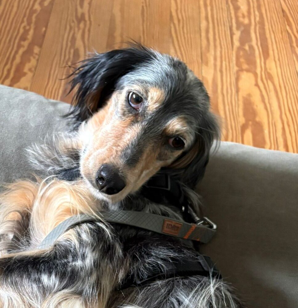 Fiona