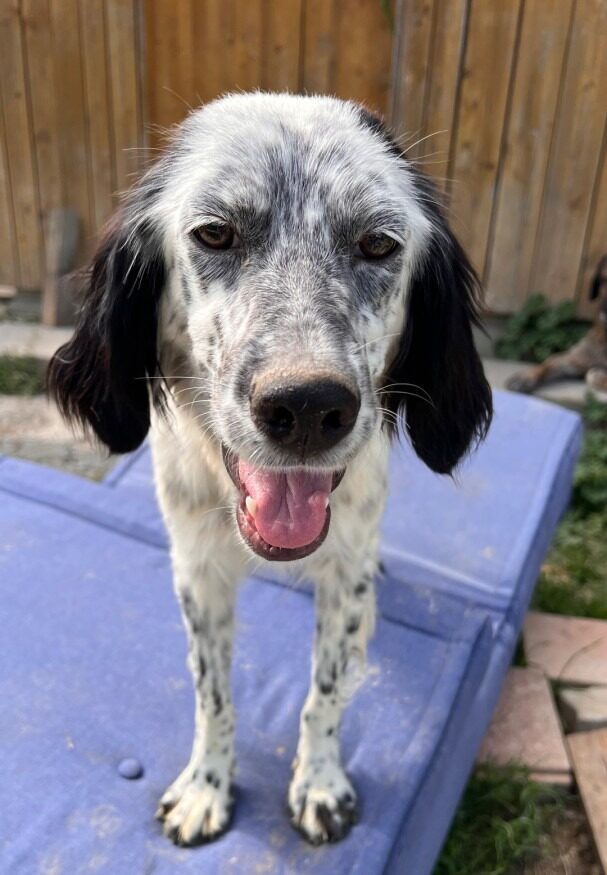Luna