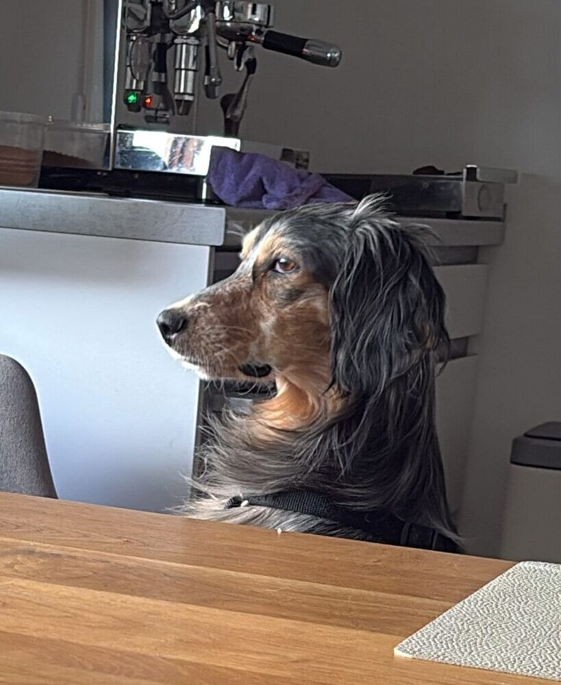 Fiona