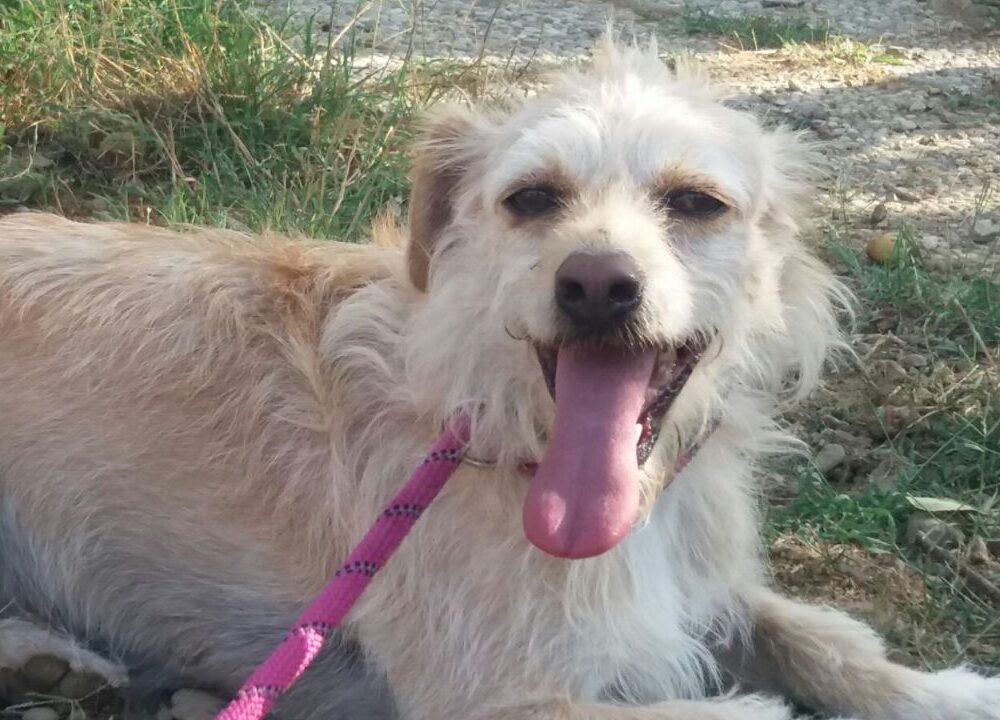 Ella