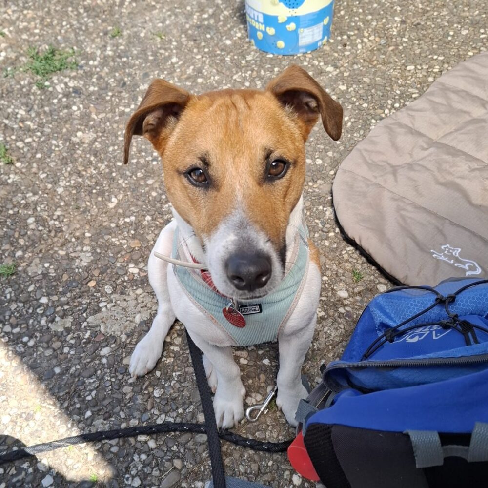 Max