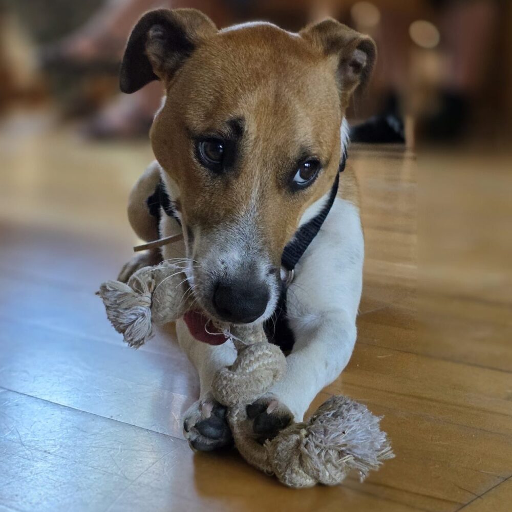 Max