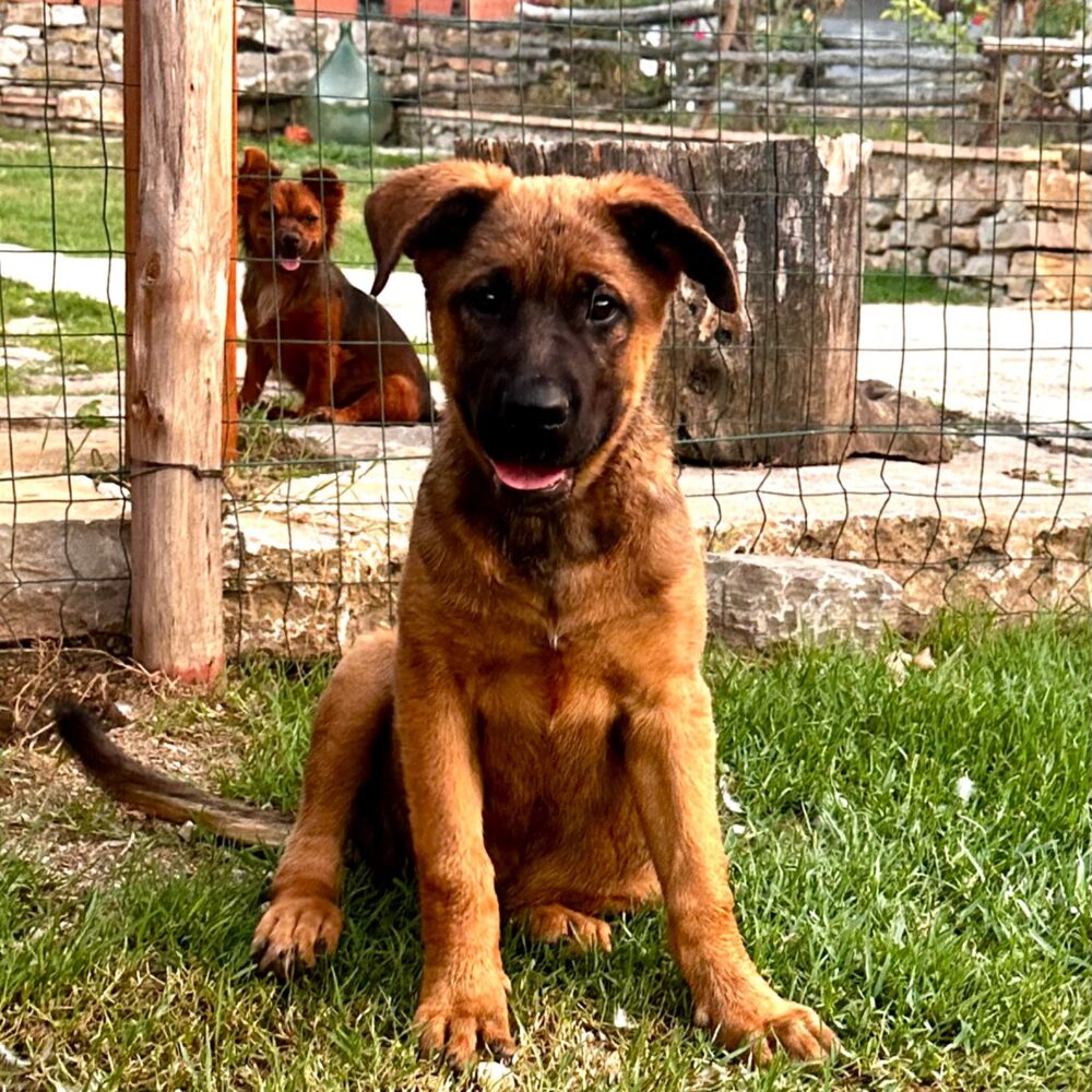 Keira