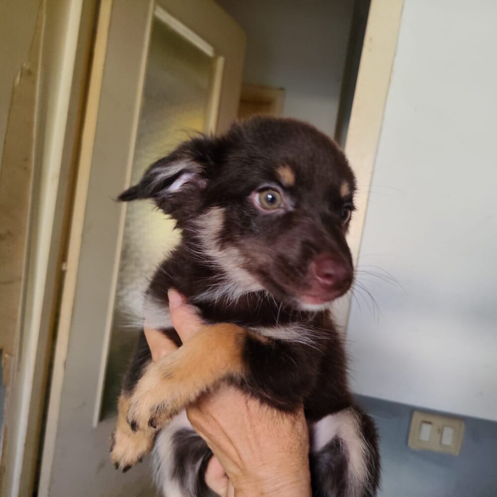 Zoe