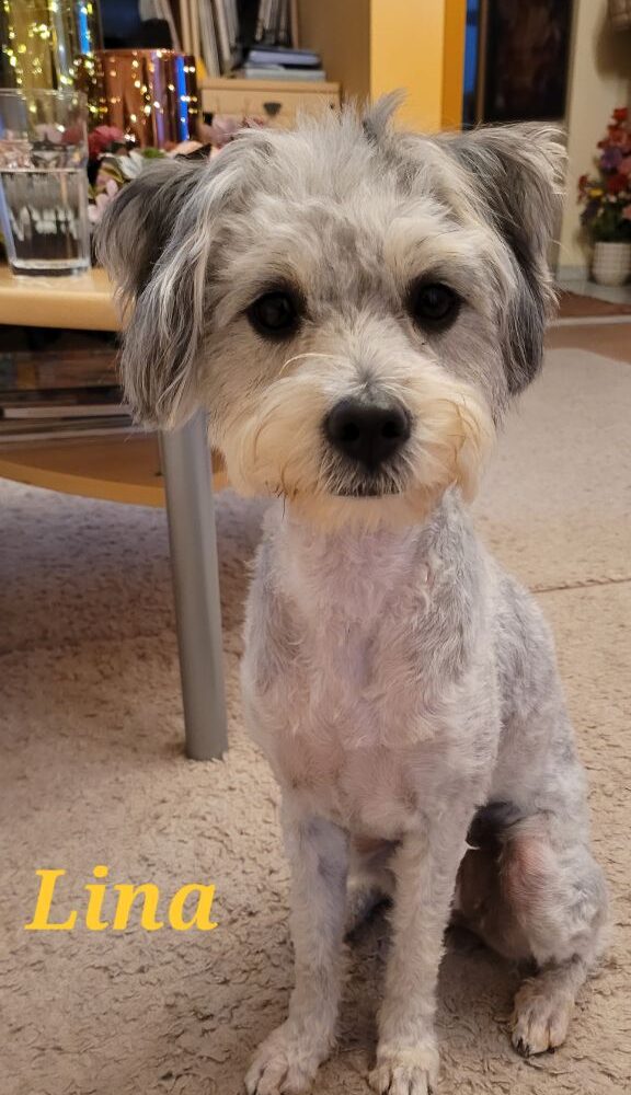 Trudi