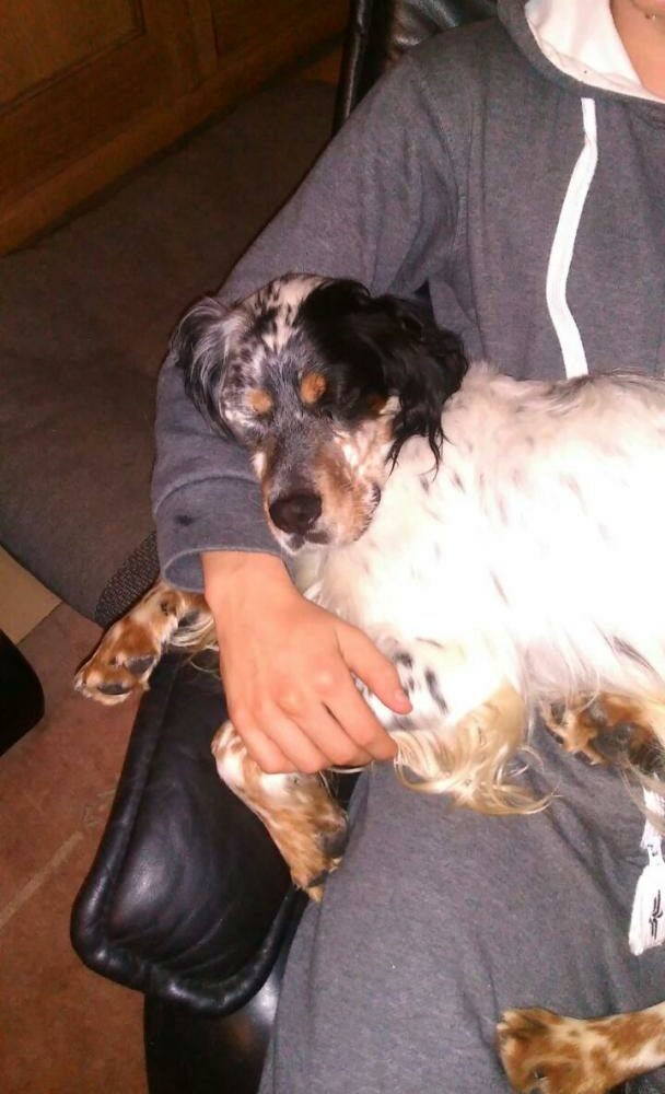 Jack