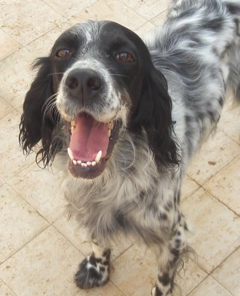 Berta
