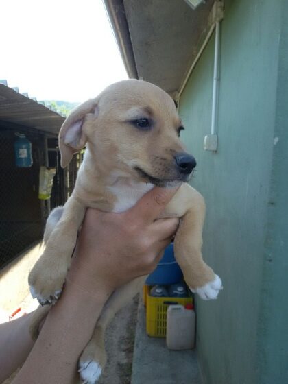 Marley