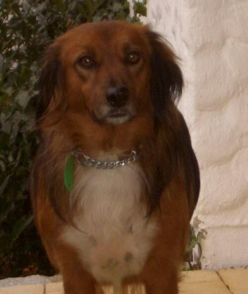 Martina