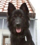 Neno