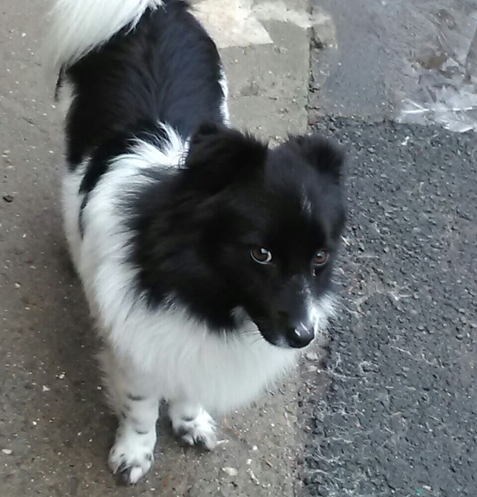 Paul