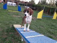 Gessi