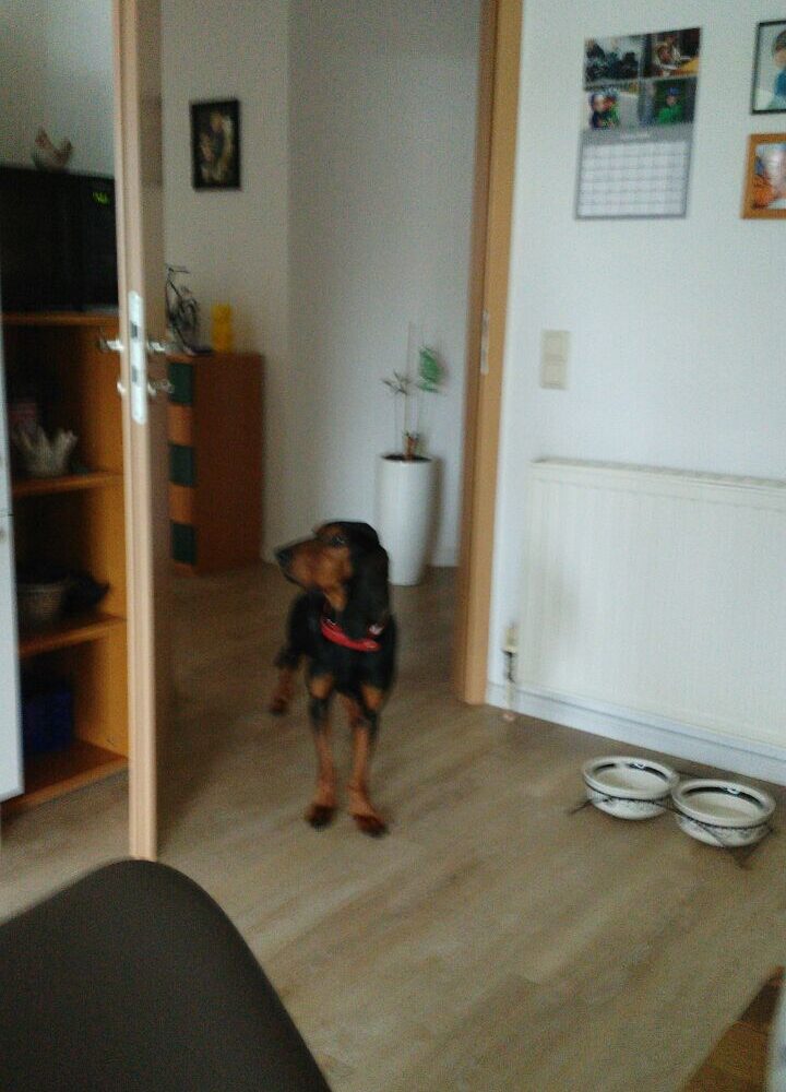 Bruno