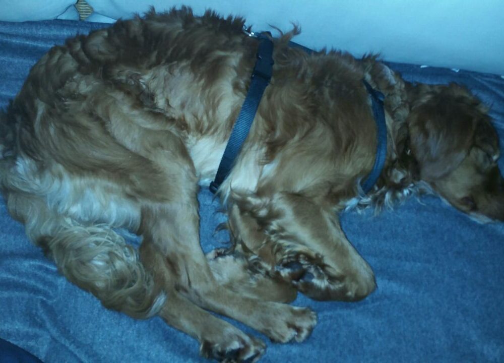 Oliver