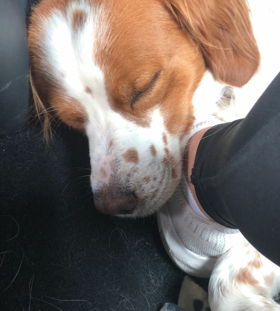 Ciro