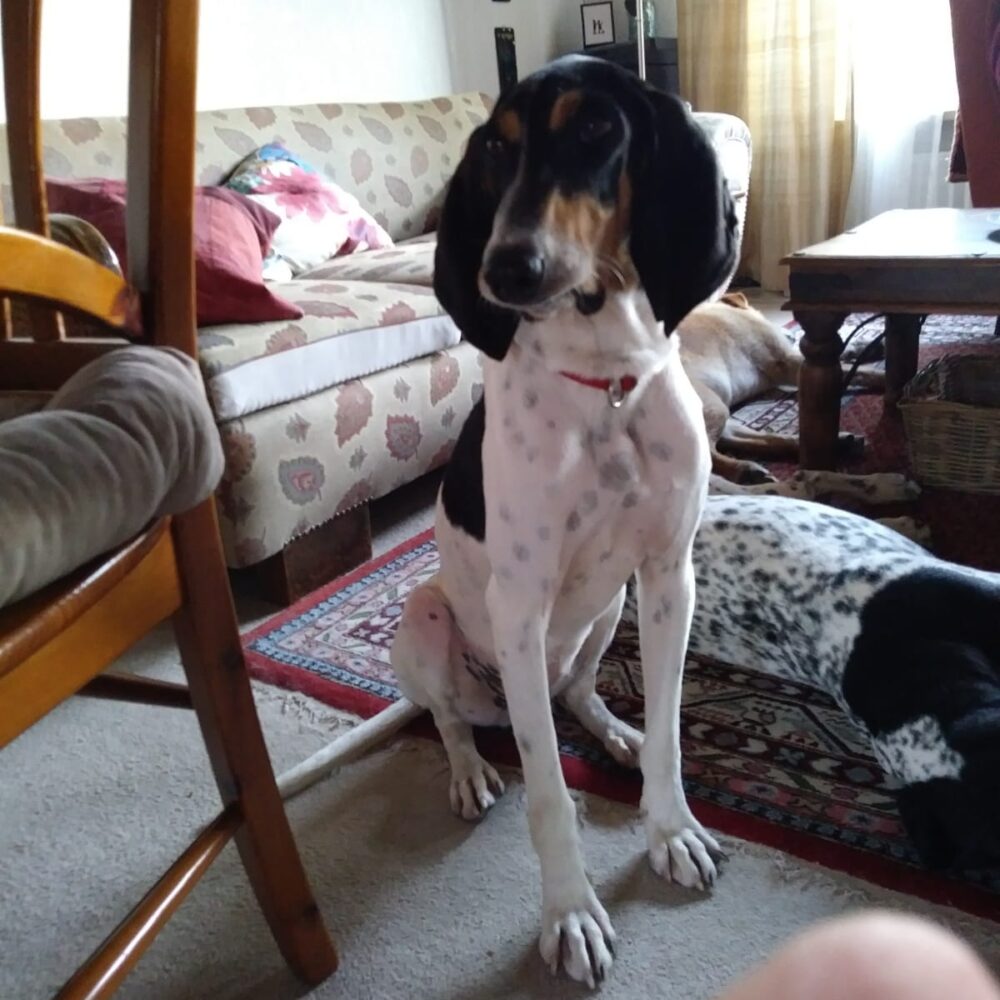 Gina