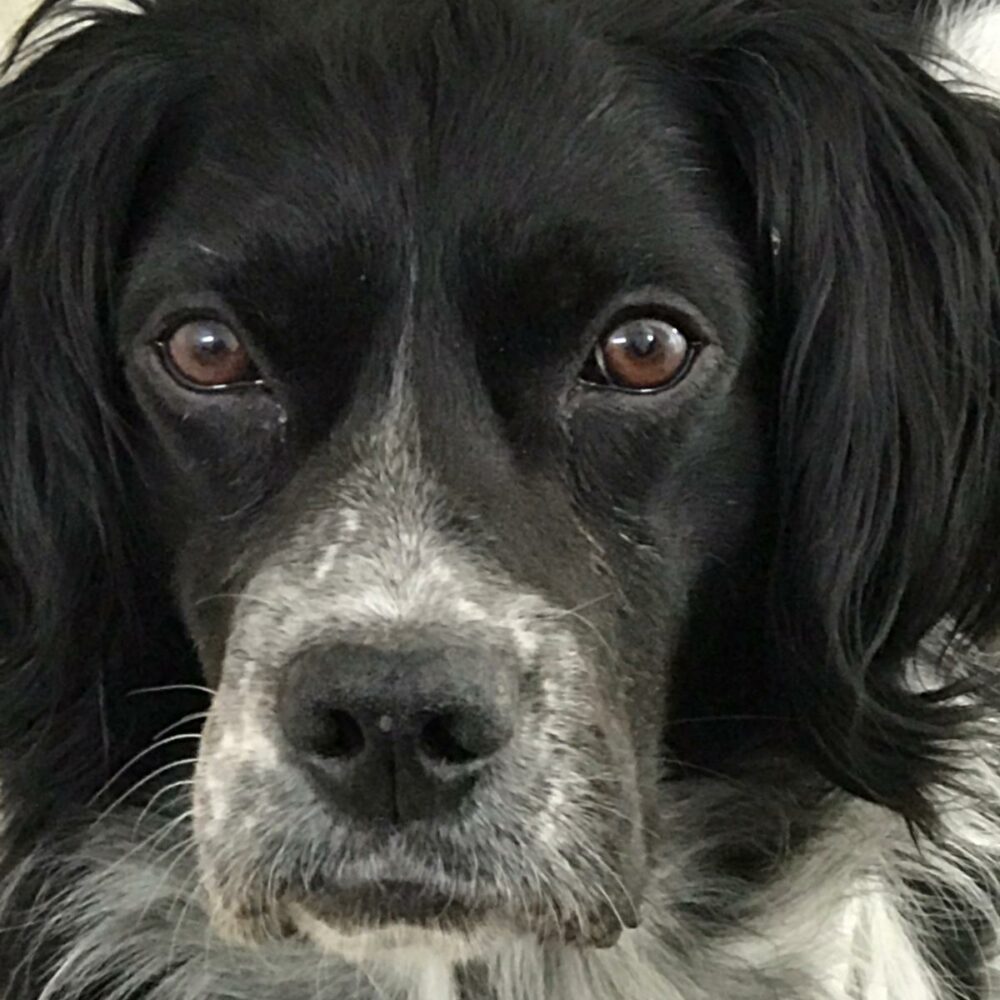 Charly