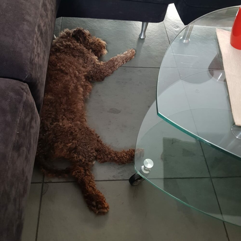 Penny