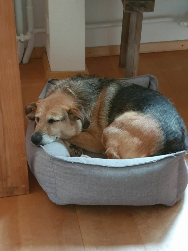 Bimba