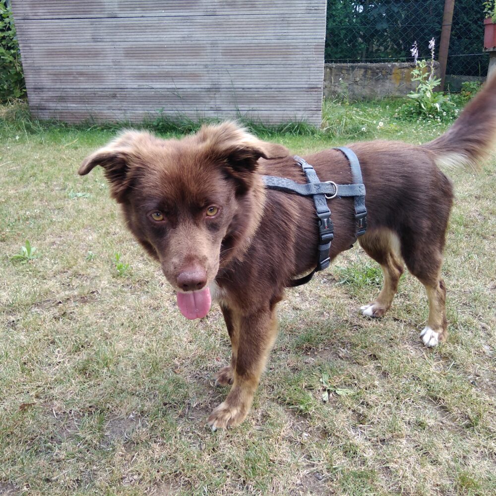 Luna
