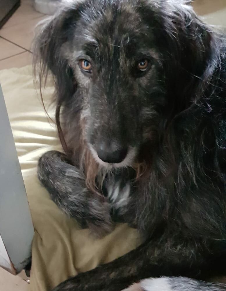Erik