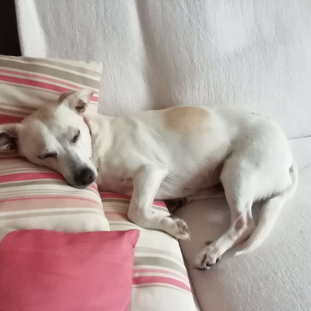 Cristina