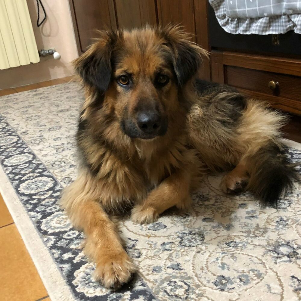 Kira