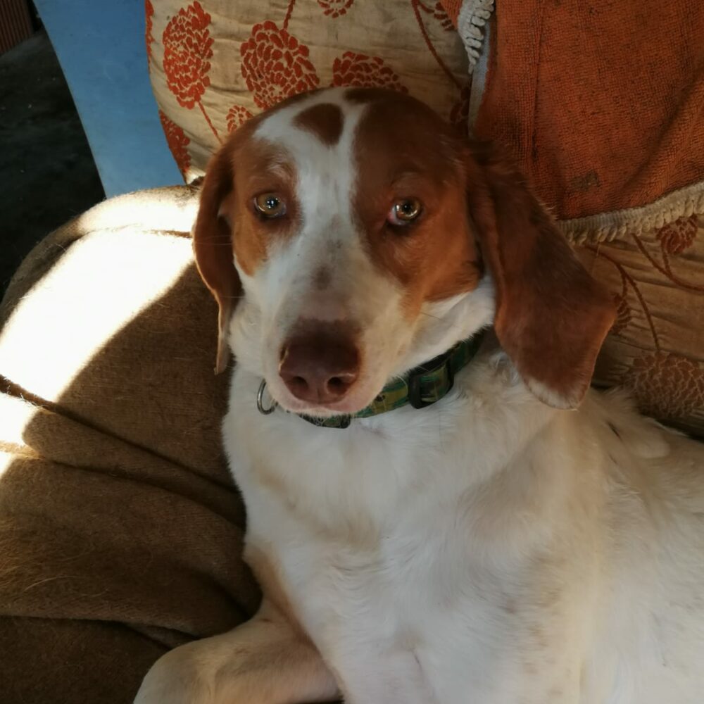 George