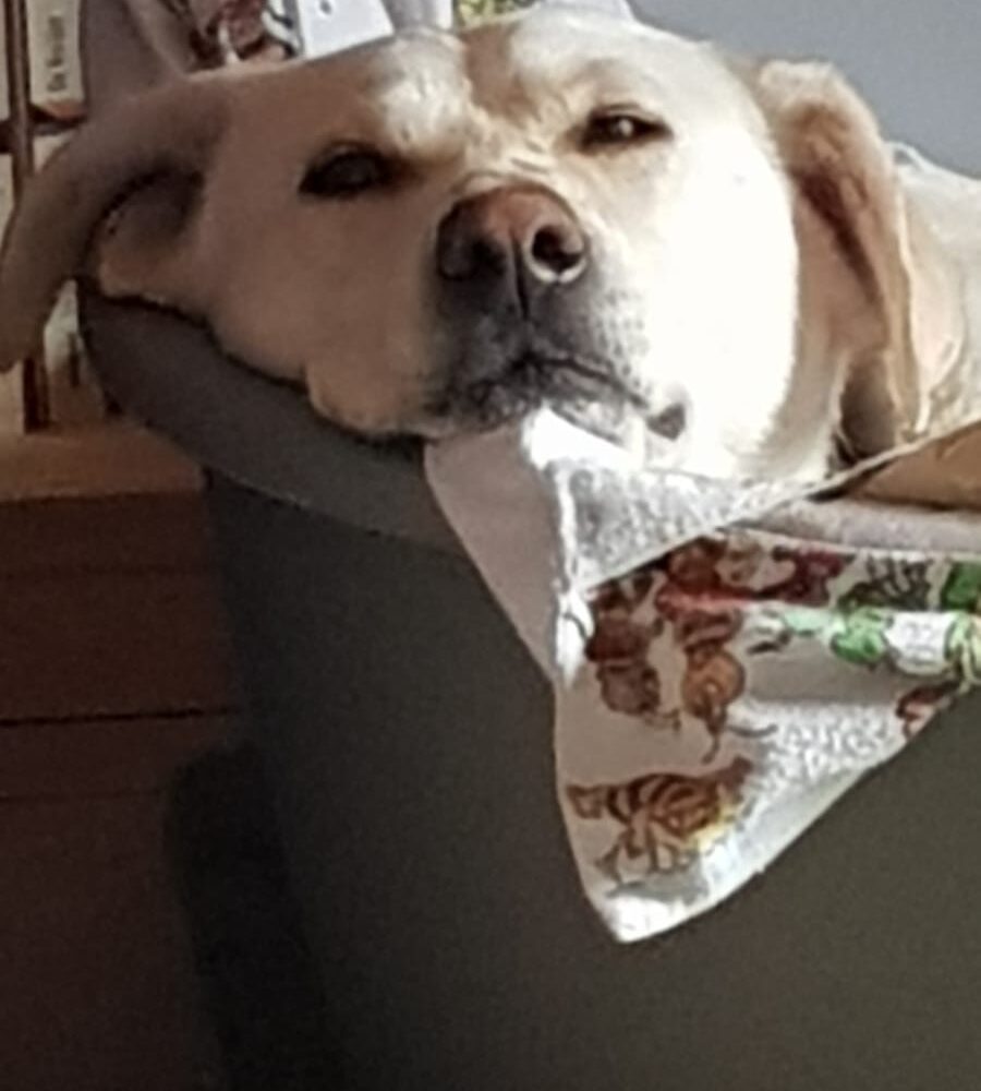 Artù
