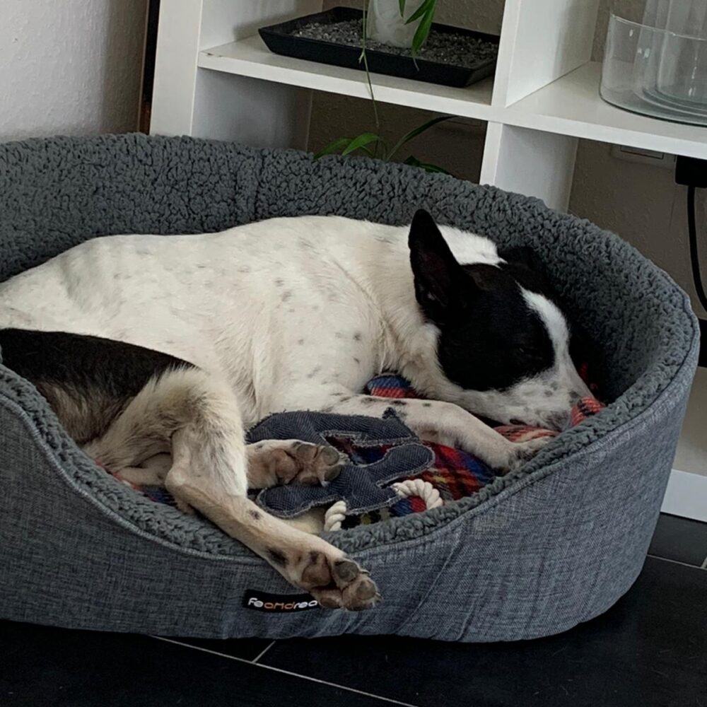 Lotti