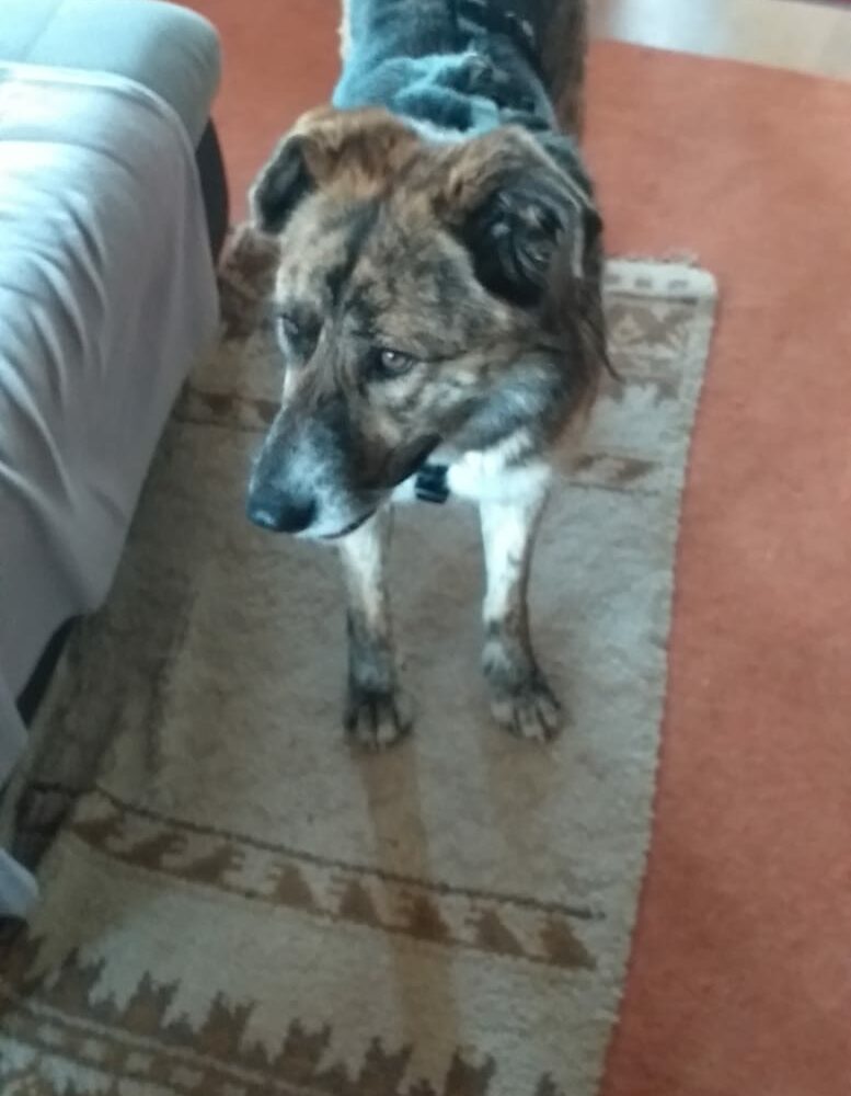 Berta