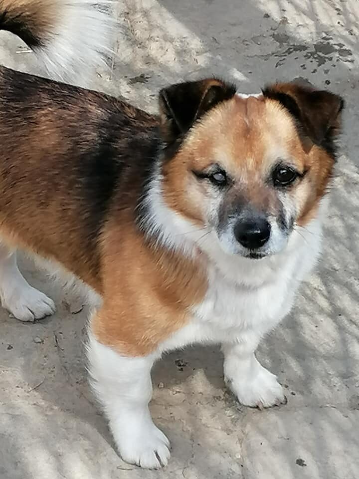Gimmy