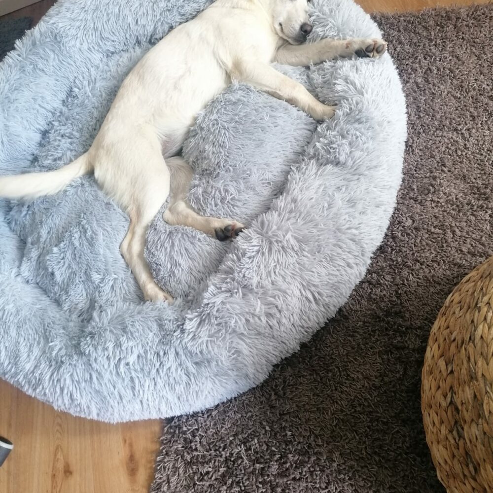 Lilla