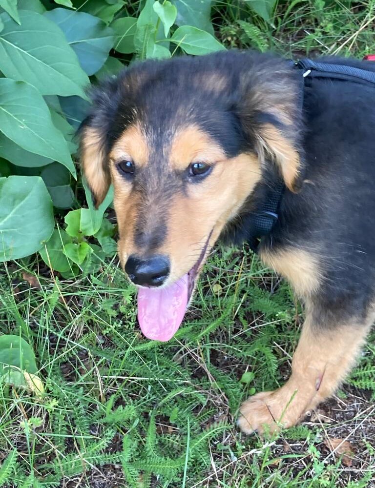 Evita