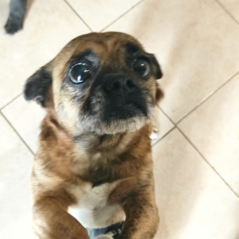 Milly